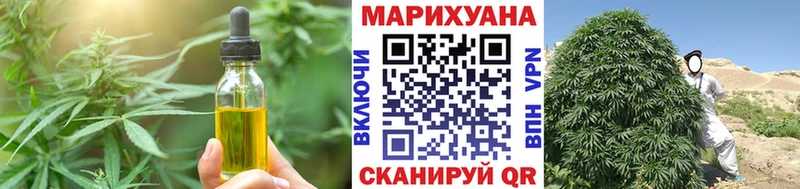где найти   Чернушка  Еда ТГК конопля 