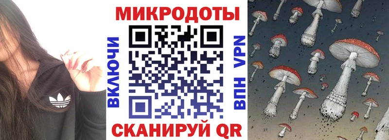 закладка  Чернушка  Галлюциногенные грибы MAGIC MUSHROOMS 