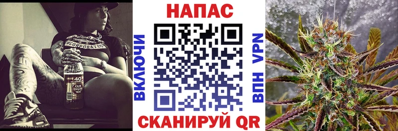 Бошки марихуана гибрид  где можно купить наркотик  hydra ссылка  Чернушка 